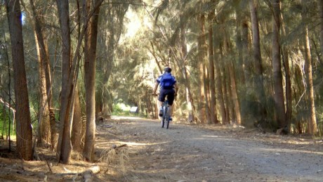 Rattler Trail
